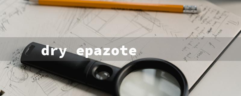 dry epazote（Dry Epazote Herb: Must-Have!）